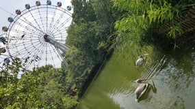Shanghai Zoo Adventure