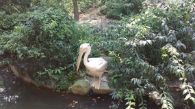 Shanghai Zoo Adventure
