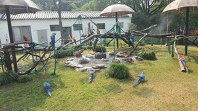 Shanghai Zoo Adventure