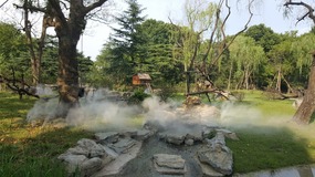 Shanghai Zoo Adventure