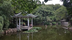 Shanghai Zoo Adventure