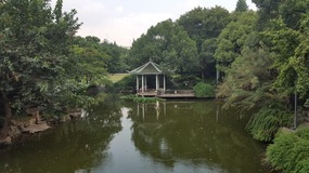 Shanghai Zoo Adventure