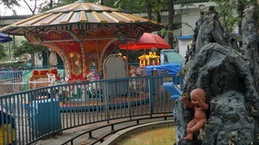 Shanghai Zoo Adventure