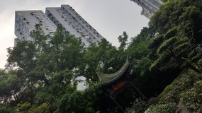 Shanghai Zoo Adventure