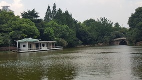 Shanghai Zoo Adventure