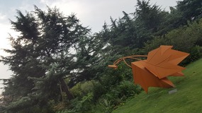 Shanghai Zoo Adventure