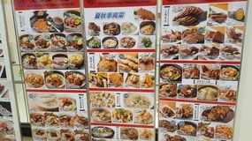 Shanghai Zoo Adventure