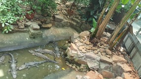 Shanghai Zoo Adventure