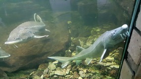 Shanghai Zoo Adventure