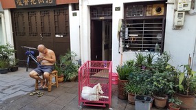 Wenzhou Old Town Adventure