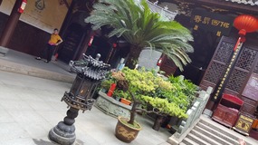 Wenzhou Old Town Adventure