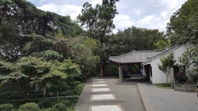 Wenzhou Old Town Adventure
