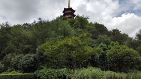 Wenzhou Old Town Adventure