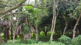 Wenzhou Temple Island Adventure