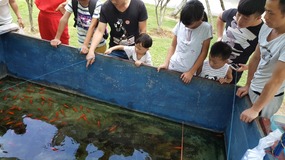 Wenzhou Temple Island Adventure