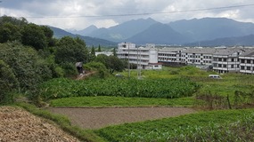 Yantaocun Village