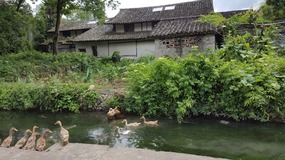 Yantaocun Village