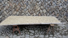 Furongcun Village Adventure