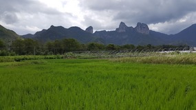 Furongcun Village Adventure