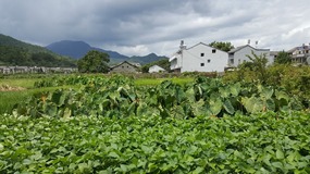 Furongcun Village Adventure