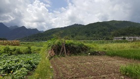 Furongcun Village Adventure