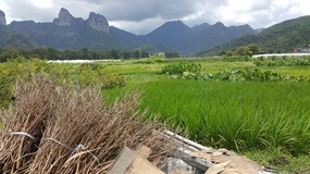 Furongcun Village Adventure
