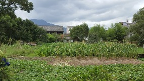 Furongcun Village Adventure