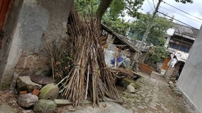 Furongcun Village Adventure