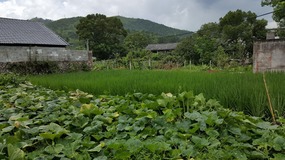 Furongcun Village Adventure