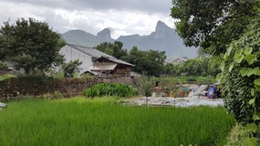 Furongcun Village Adventure