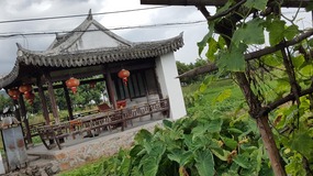 Furongcun Village Adventure
