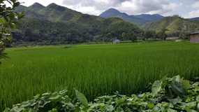 Cangpocun Village