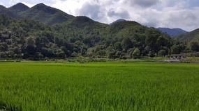 Cangpocun Village