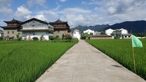 Cangpocun Village