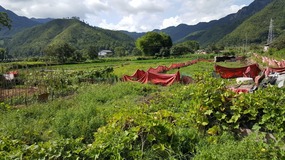 Cangpocun Village