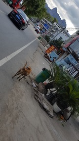 Cangpocun Village
