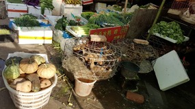 Cangpocun Village