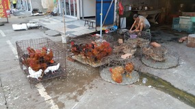 Cangpocun Village