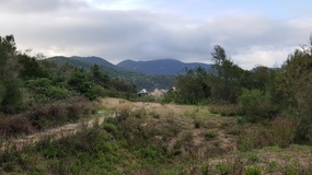Ningbo Putoushan Island