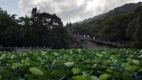 Ningbo Putoushan Island