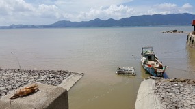 Ningbo Putoushan Island 