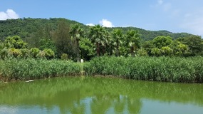 Ningbo Putoushan Island 