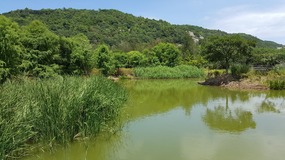 Ningbo Putoushan Island 