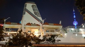 Observing Observation & Tings Awesome Dinner