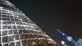 Observing Observation & Tings Awesome Dinner