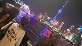 Observing Observation & Tings Awesome Dinner