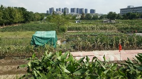 A Move To The East Coastal Ningbo