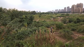 A Move To The East Coastal Ningbo