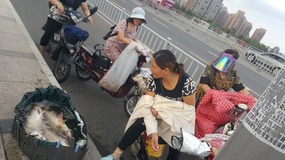 A Move To The East Coastal Ningbo