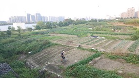 A Move To The East Coastal Ningbo